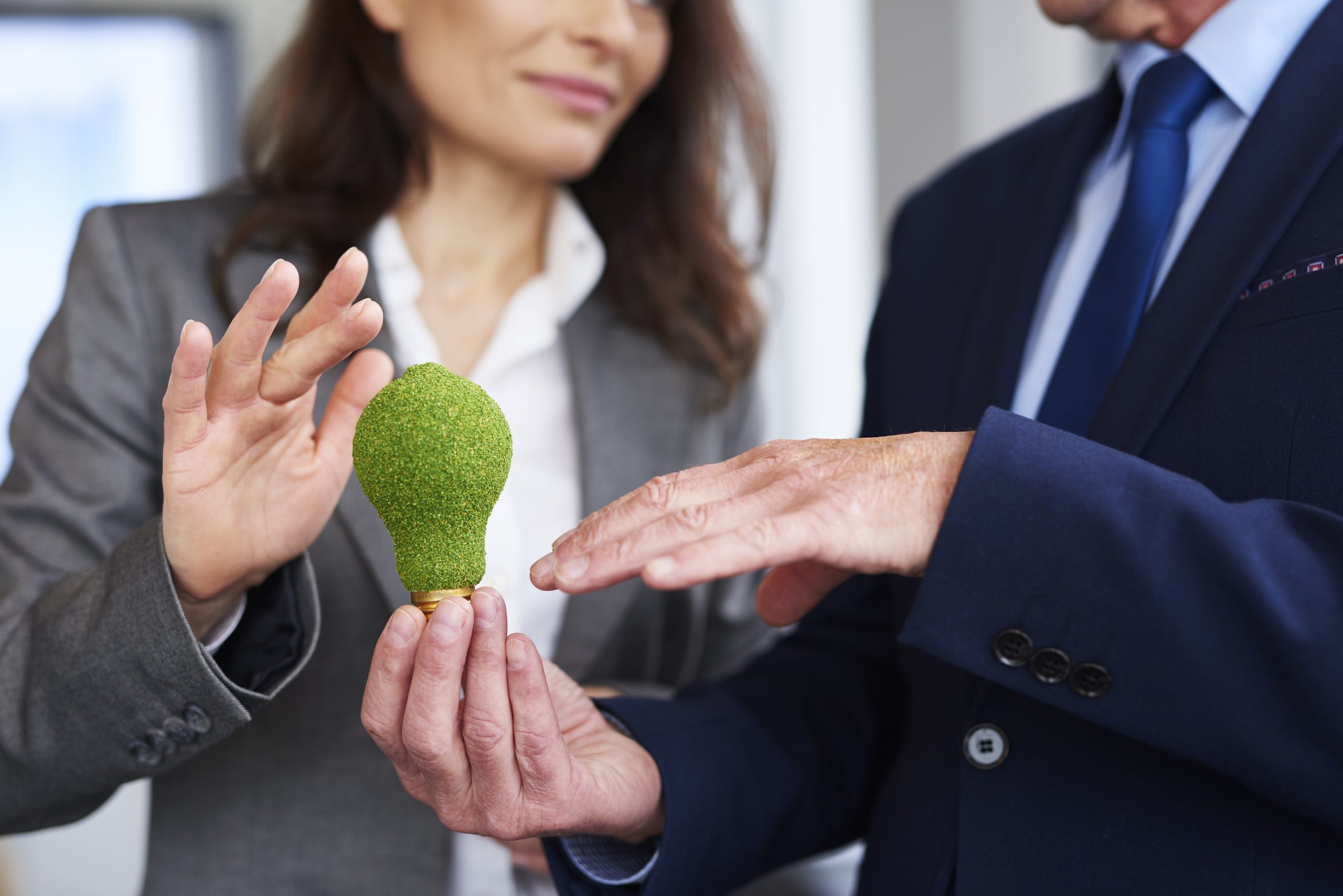Can businesses strike a balance between sustainability and profit?